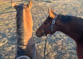 Customer photo from Luanne R.