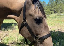 Customer photo from Stacey L.