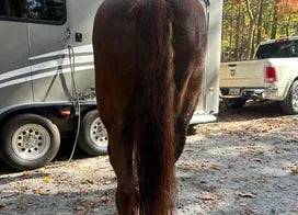 Customer photo from Carolyn A.