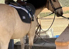Customer photo from Michelle D.