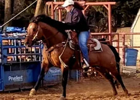 Customer photo from Sandy