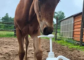 Customer photo from Heather G.