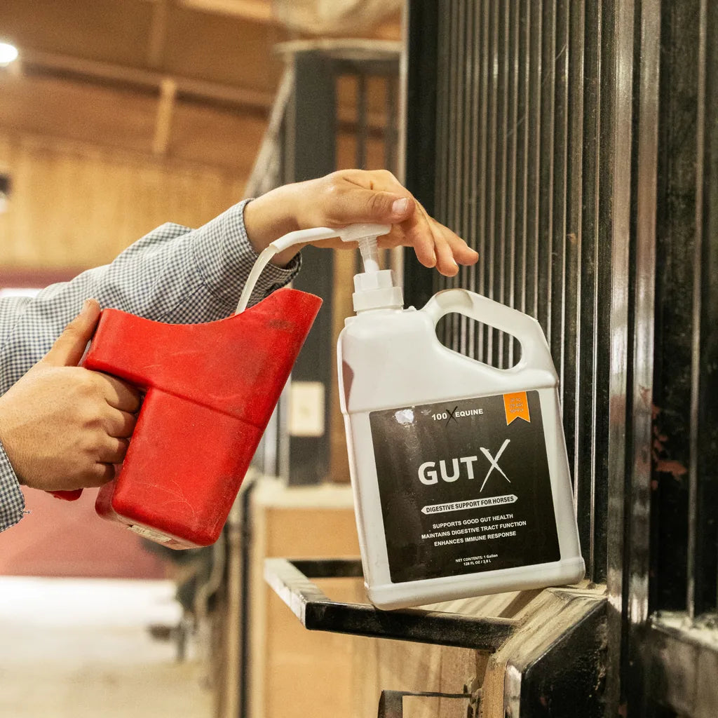 Pouring a dose of Gut X from the 1-gallon pump in the barn