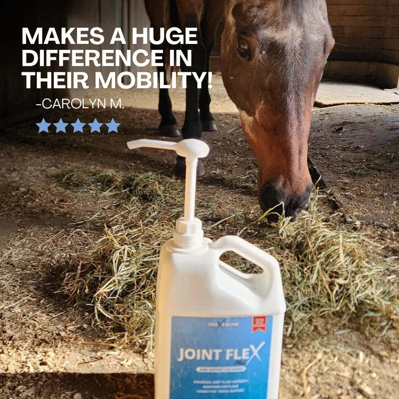 Bay horse eating hay in a stall with Joint Flex Plus in the foreground. Five star review from Carolyn M: makes a huge difference in their mobility