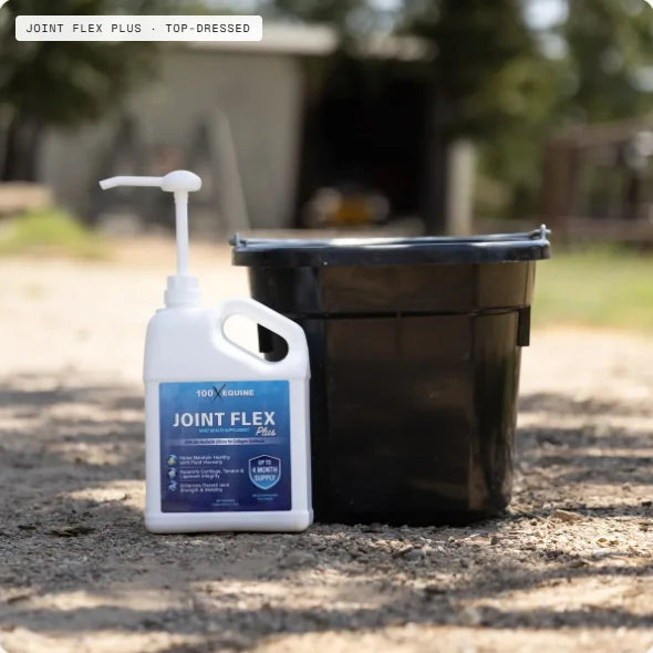 The Joint Flex Plus gallon with its pump beside a feed bucket outside the barn