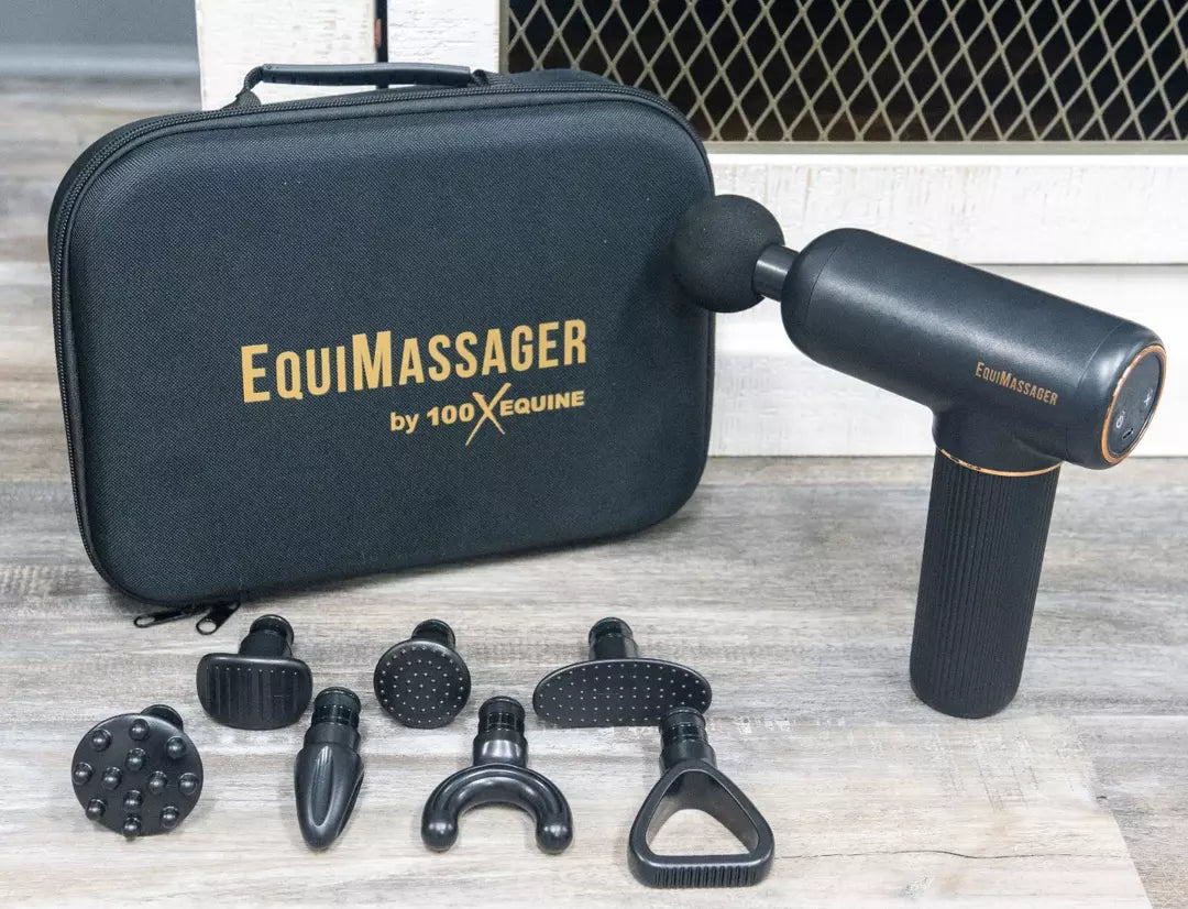 EquiMassager percussion gun with case and attachment heads