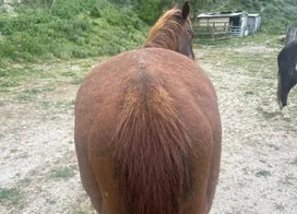Customer photo from Julie P.