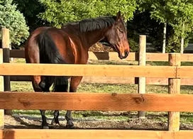 Customer photo from Elizabeth N.