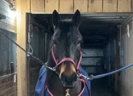 Customer photo from Holly H.