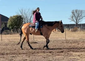 Customer photo from Stacy R.