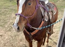 Customer photo from Ruth J.